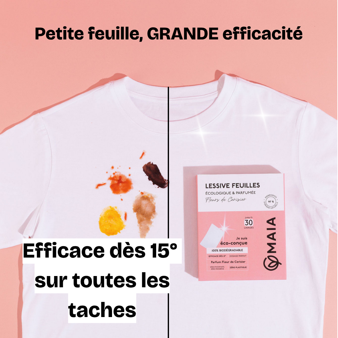 LESSIVE FEUILLES MAIA GRANDE EFFICACITE