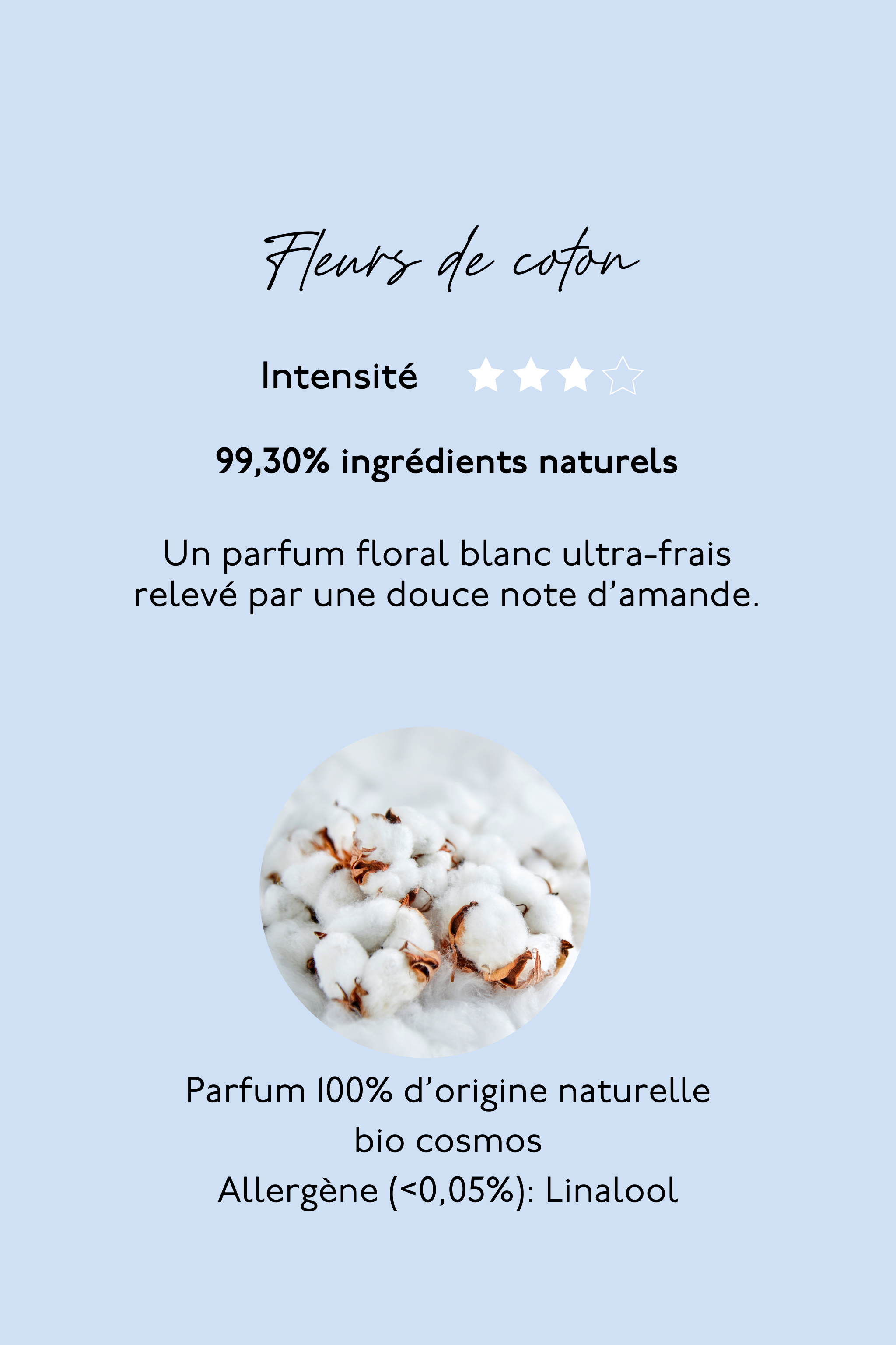 carte_coton_mobile.png