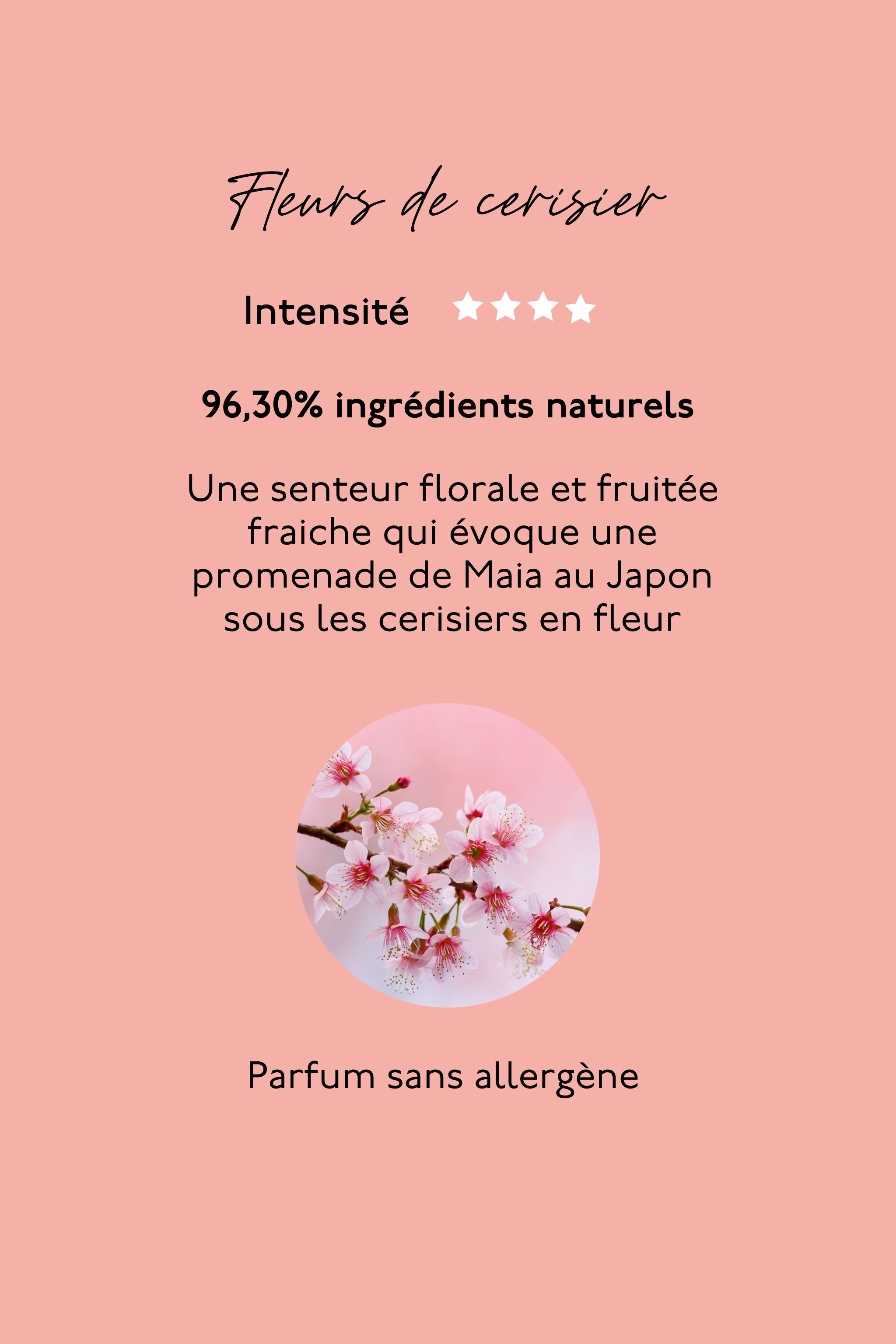 carte_mobile_cerise.png